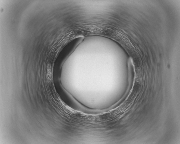 X0000088041298200705110814