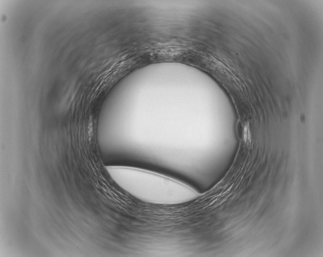 X0000088041299200705110814