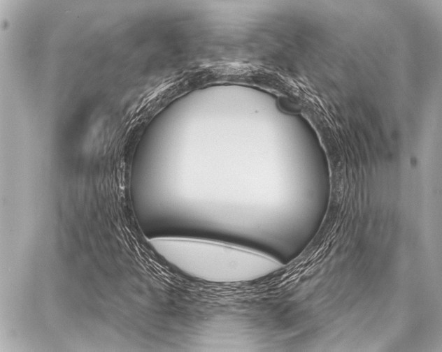 X0000088041301200705110814