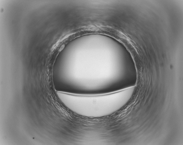X0000088041304200705110814