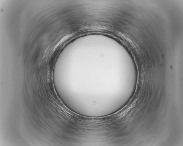 X0000088041306200705110814