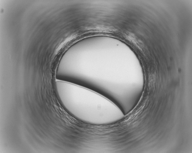 X0000088041307200705110814