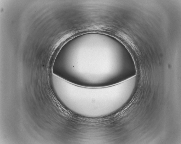 X0000088041308200705110814