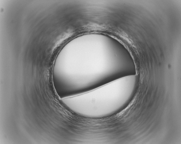 X0000088041309200705110814