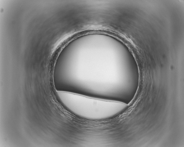 X0000088041311200705110814