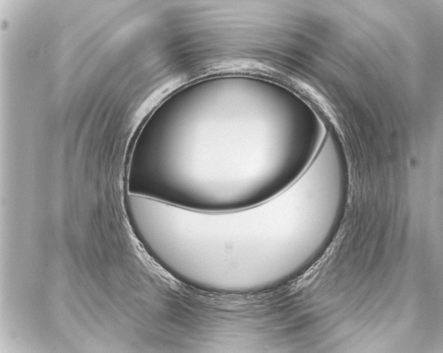 X0000088041330200705110815