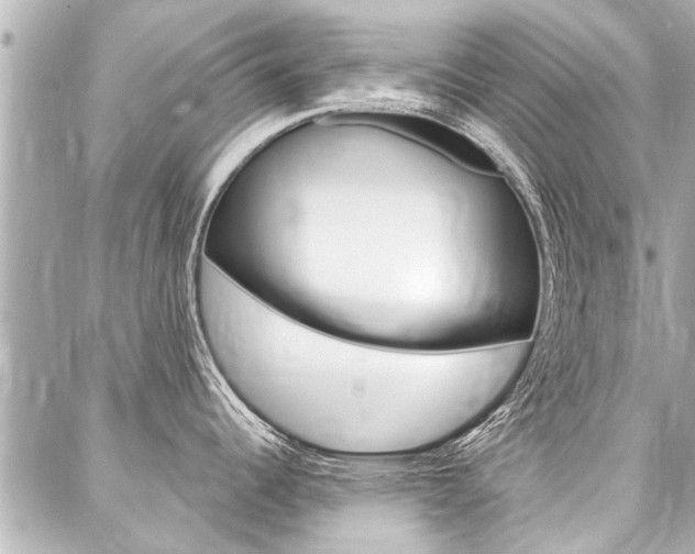 X0000088041344200705110815