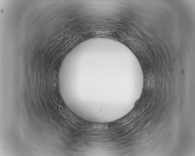 X0000088041346200705110814