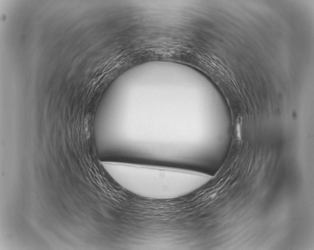 X0000088041347200705110814