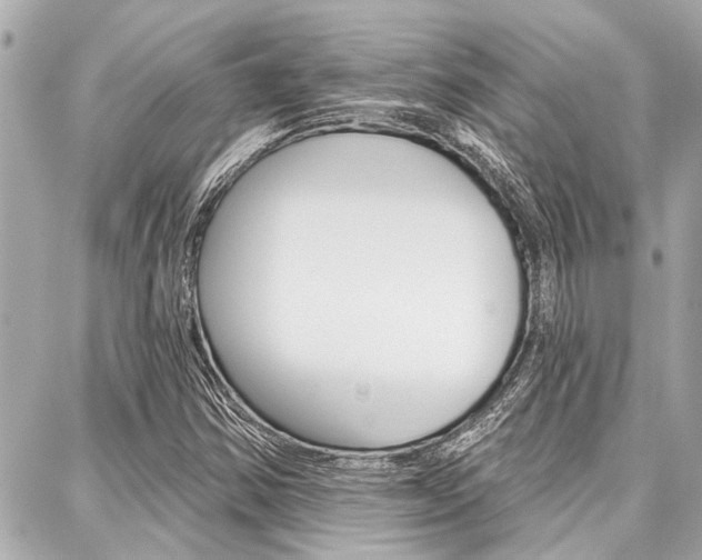 X0000088041354200705110814
