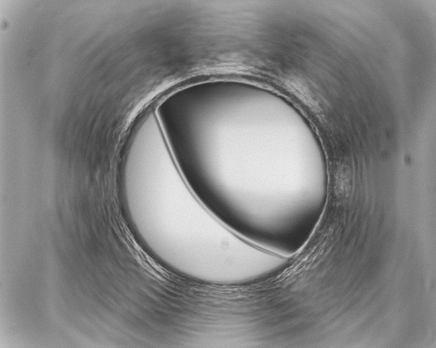 X0000088041356200705110814