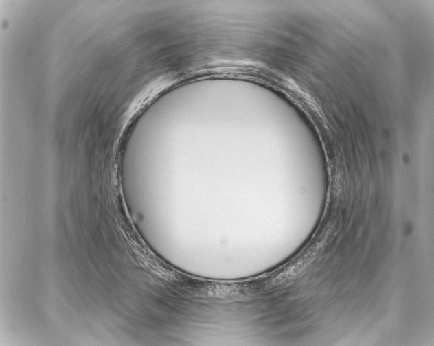 X0000088041362200705110814