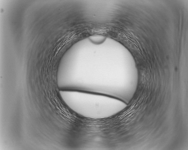 X0000088041393200705110812