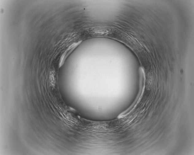 X0000088041394200705110812
