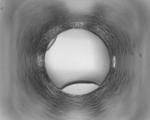 X0000088041395200705110812