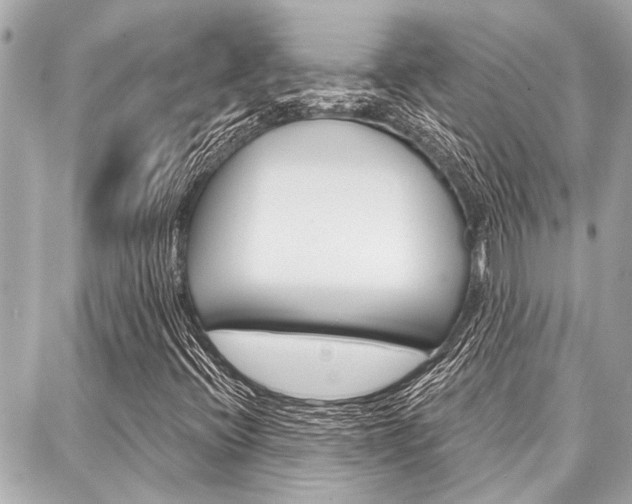 X0000088041396200705110813