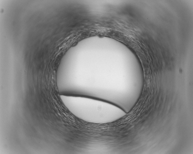 X0000088041397200705110813