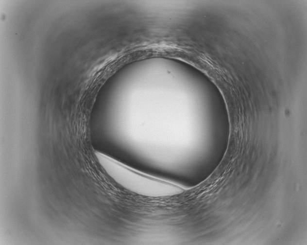 X0000088041398200705110813