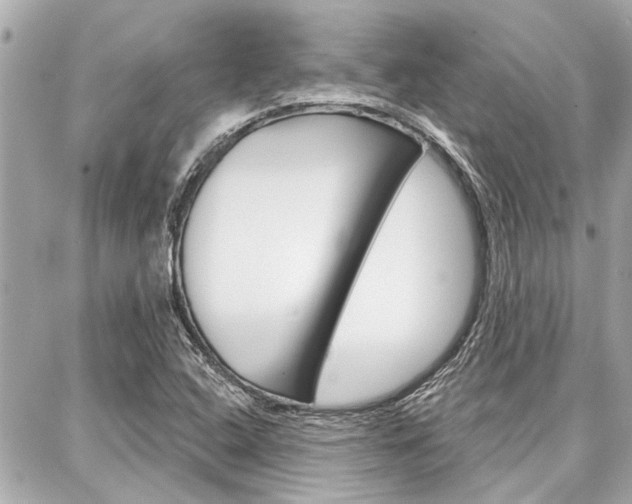 X0000088041408200705110813