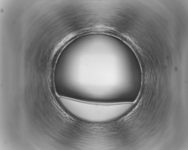 X0000088041410200705110813