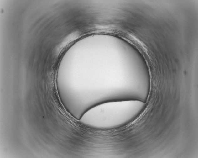 X0000088041411200705110813