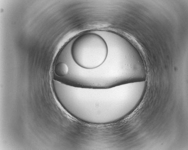 X0000088041432200705110813