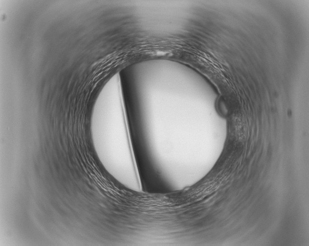 X0000088041442200705110812