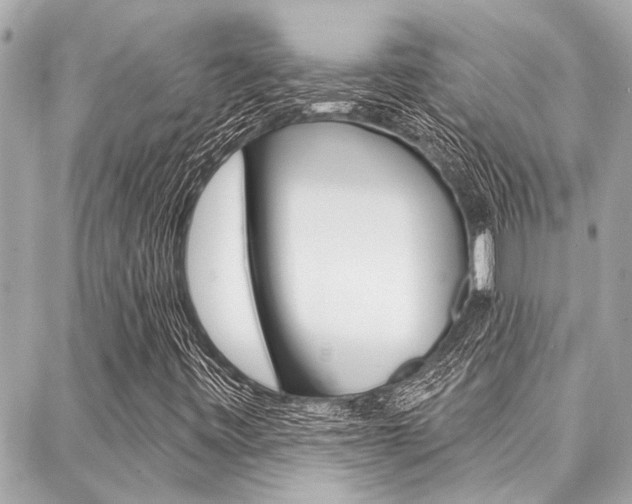X0000088041443200705110812