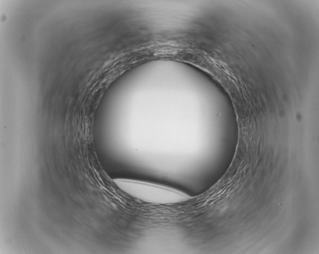 X0000088041445200705110812