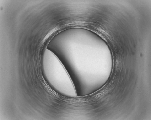 X0000088041450200705110812