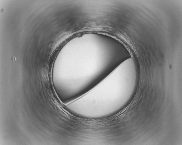 X0000088041452200705110812