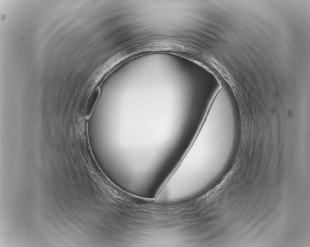 X0000088041465200705110812