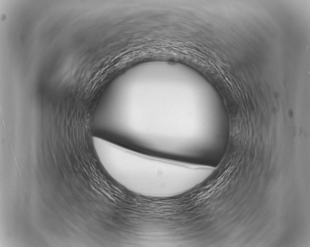 X0000088041490200705110811