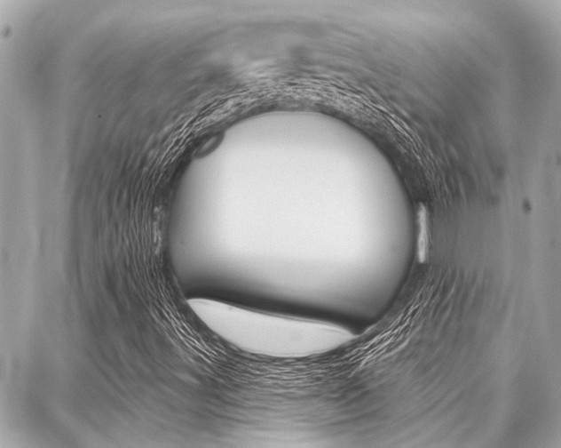 X0000088041491200705110811