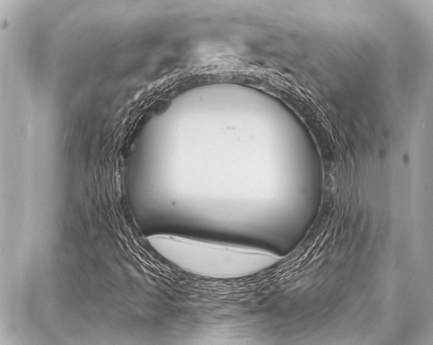 X0000088041493200705110811