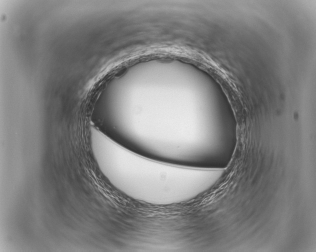 X0000088041496200705110811
