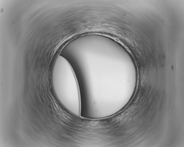 X0000088041497200705110811