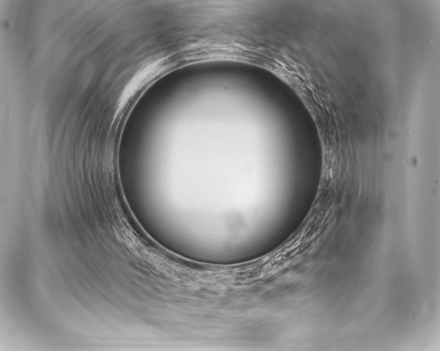 X0000088040004200705111242