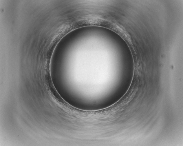 X0000088040018200705111242