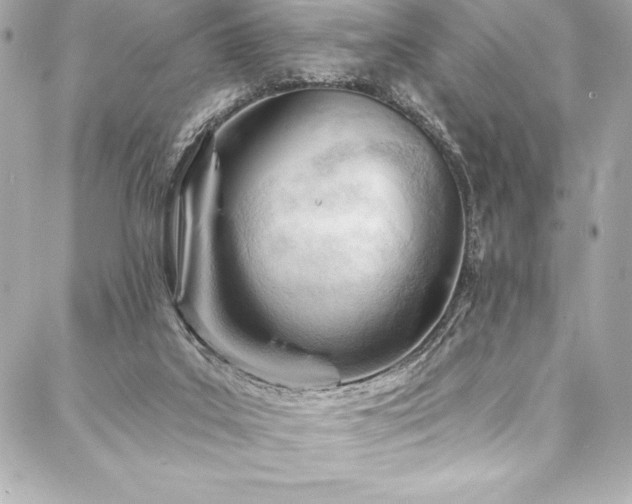 X0000088040019200705111242