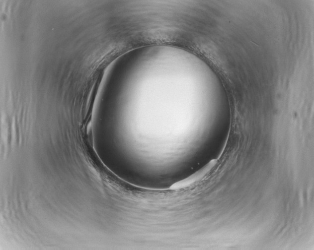X0000088040021200705111242