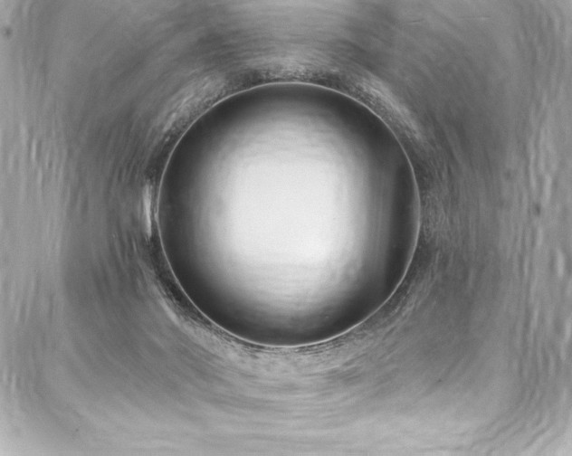 X0000088040022200705111242