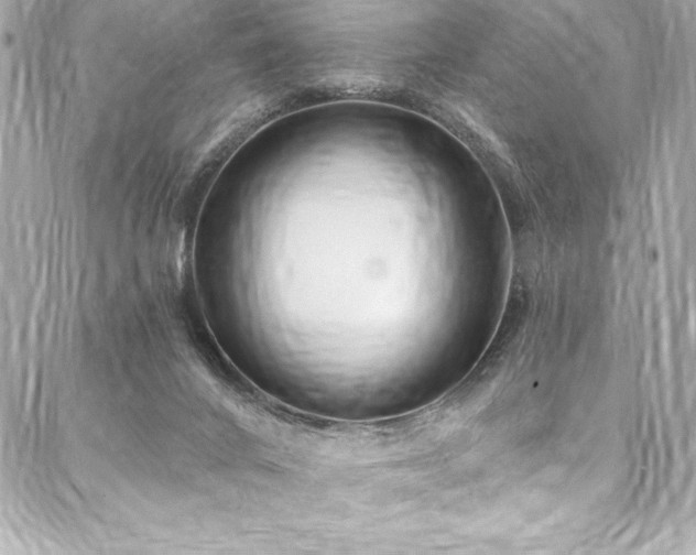 X0000088040024200705111242