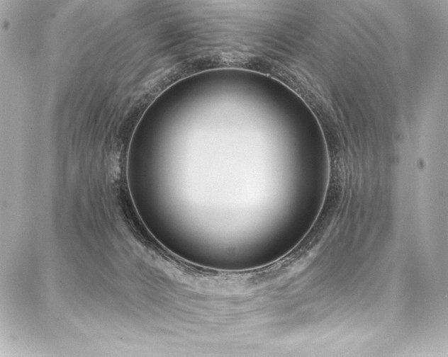 X0000088040032200705111242