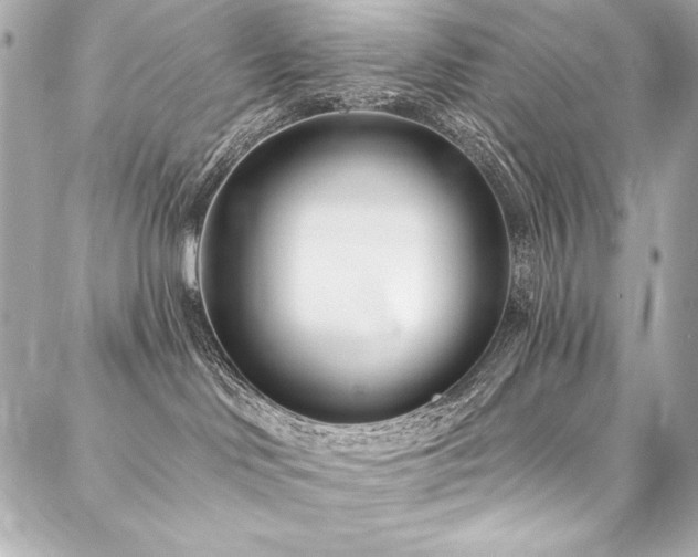 X0000088040046200705111242