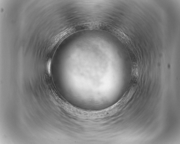 X0000088040047200705111242
