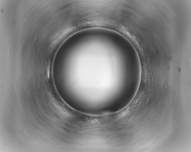 X0000088040062200705111241