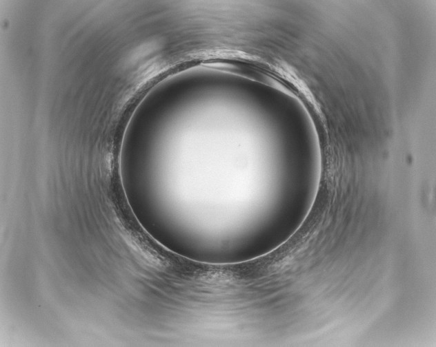 X0000088040063200705111241
