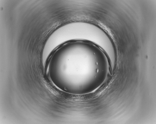 X0000088040065200705111241