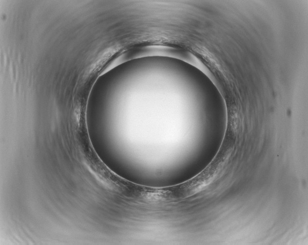 X0000088040072200705111241